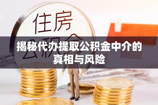 桂东揭秘代办提取公积金中介的真相与风险