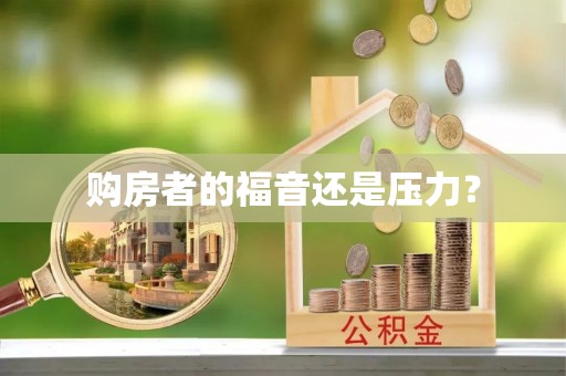 桂东购房者的福音还是压力？