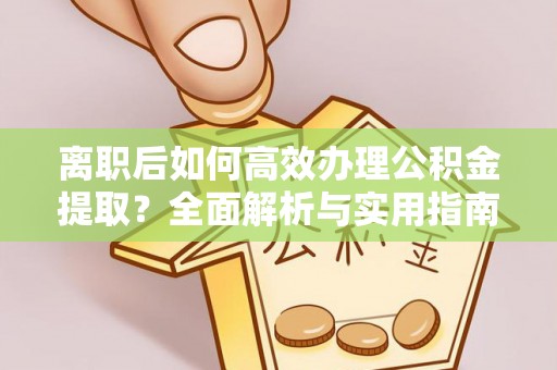 桂东离职后如何高效办理公积金提取？全面解析与实用指南