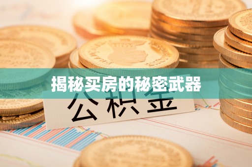 桂东揭秘买房的秘密武器